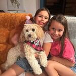 Two girls with a small dog wearing a birthday hat at woefkesranch.
